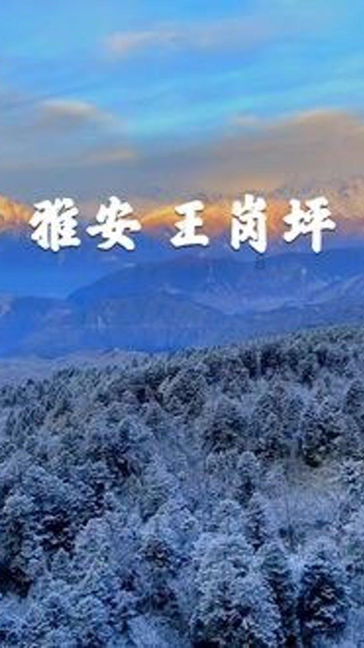 解锁你的智慧,尽在宝宝的咀嚼能力差会有什么影响?