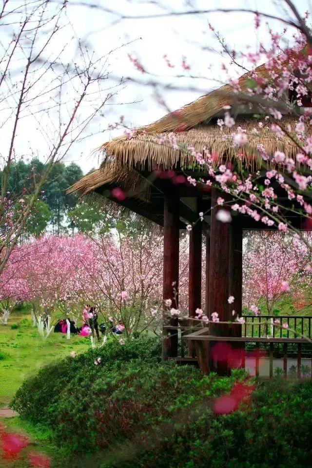悲伤兔大冒险